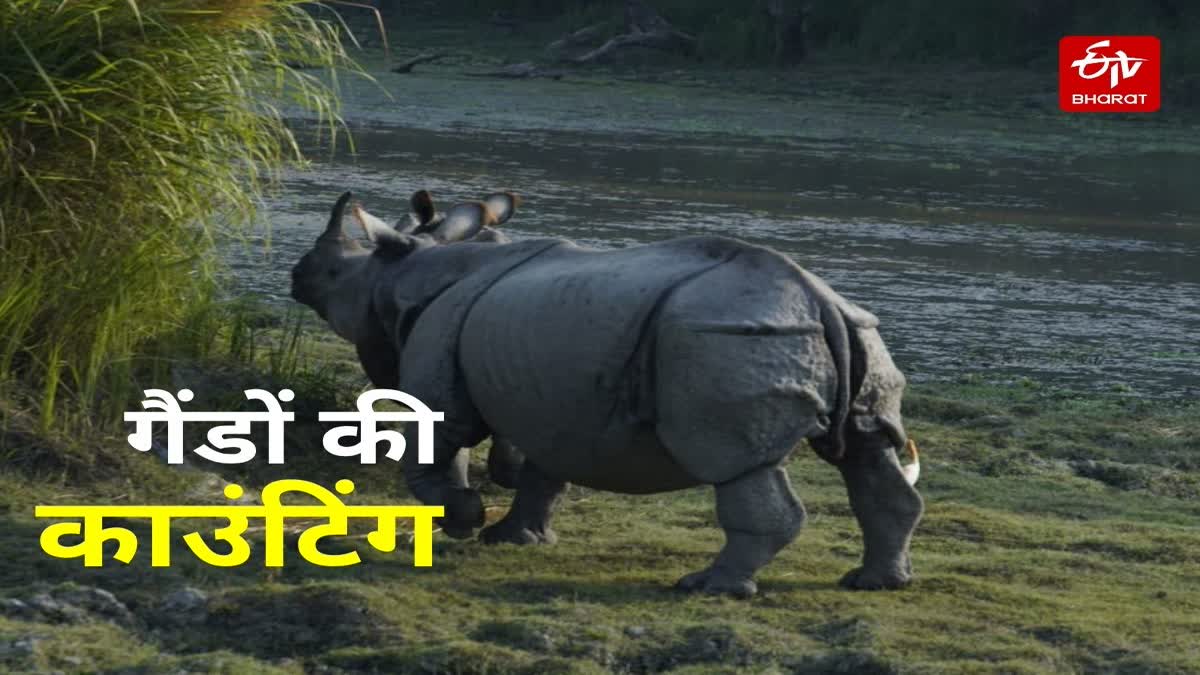 दुधवा नेशनल पार्क में गैंडों की संख्या बढ़ी.