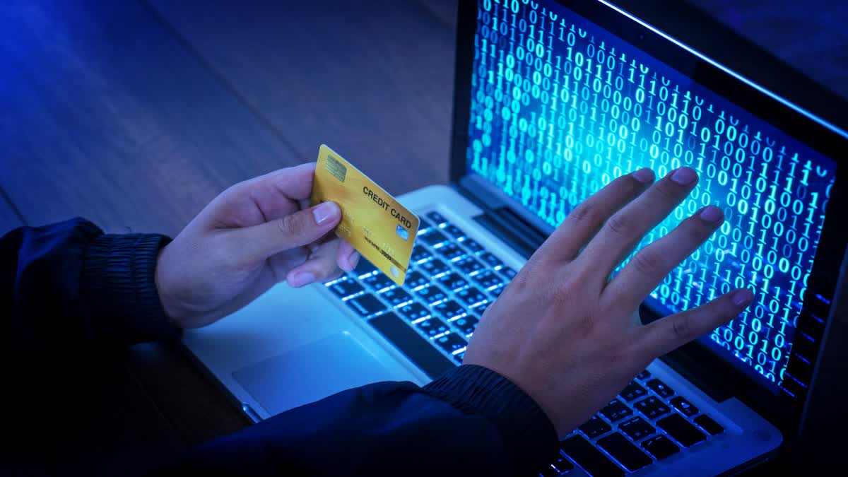 How to Prevent Credit Card Frauds