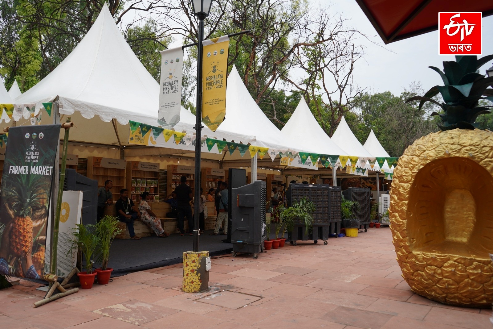 4th Meghalaya Pineapple Festival fest in Delhi from 10 to 12 July 2026
