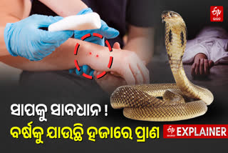 Beware of snakes! Thousands of lives are lost every year.