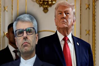 Esmail Baghaei, Donald Trump