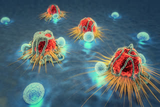 TYPES OF CANCER CELLS  EARLY SYMPTOMS OF CANCER  CANCER CELLS TYPES  ಕ್ಯಾನ್ಸರ್‌ ಕೋಶಗಳಲ್ಲಿ ಎಷ್ಟು ವಿಧಗಳಿವೆ