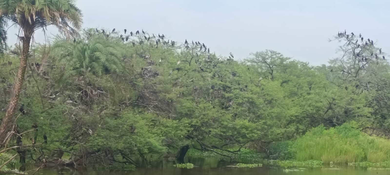 MADHYA PRADESH monsoon
