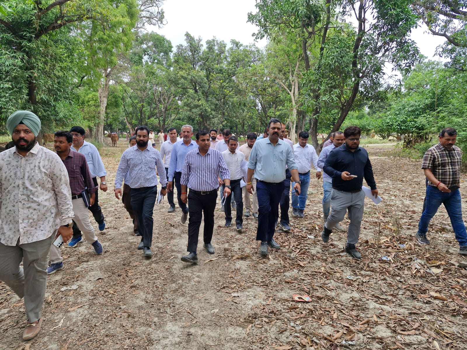 8000 trees removed lucknow anant nagar project lda claims they replanted