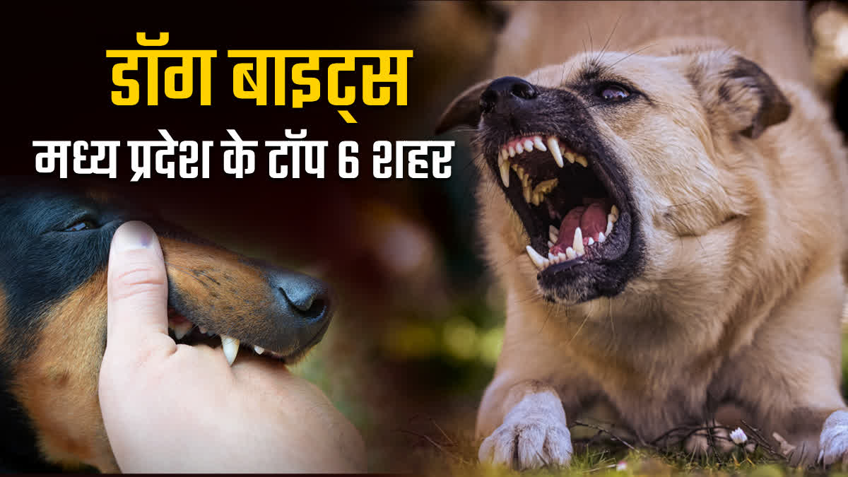 MADHYA PRADESH DOG BITE CASE