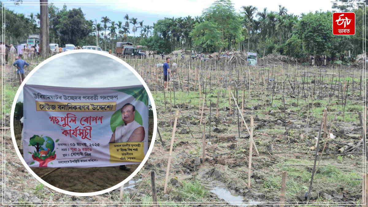 Plantation program has started in encroachment-free Rengma reserved forest