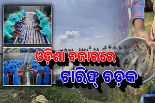 TRUMP TARIFF IMPACT ON ODISHA