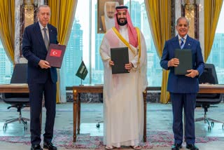 Turkey Saudi Arabia Pakistan