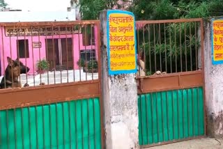 PANNA GOVT GIRLS HOSTEL DOG