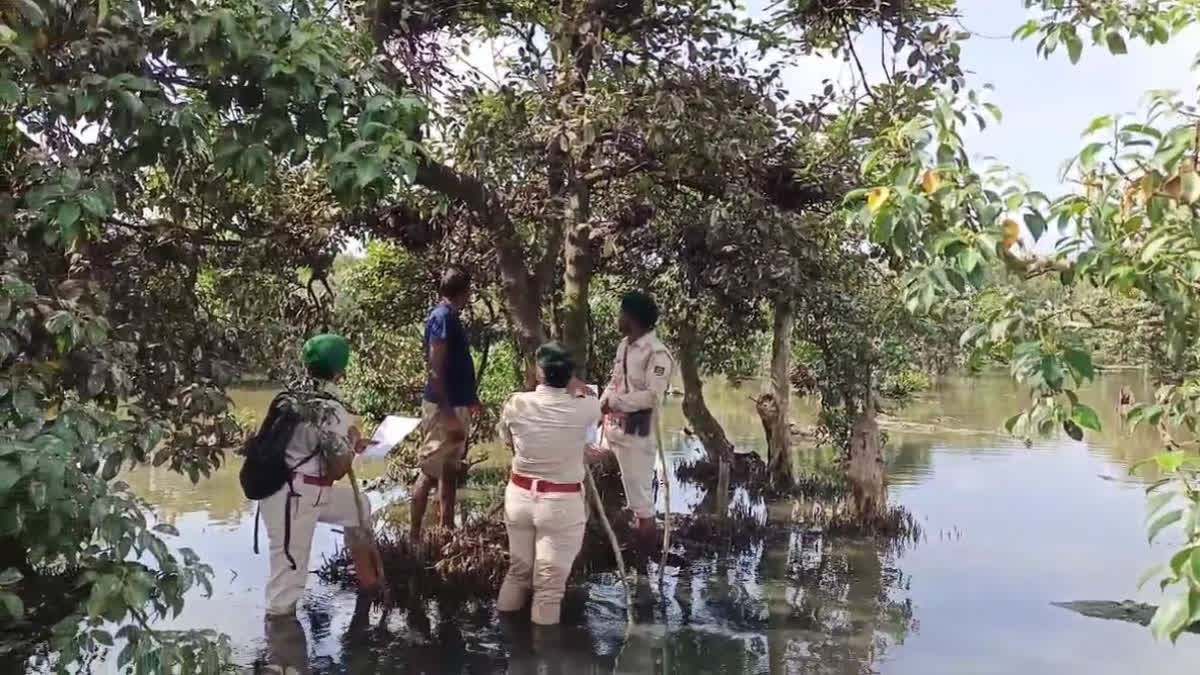 ଭିତରକନିକା ଜାତୀୟ ଉଦ୍ୟାନରେ ଚଳିତବର୍ଷ ବଢ଼ିଛନ୍ତି ଦେଶୀୟ ପକ୍ଷୀ