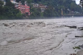 Himachal Disaster 2025