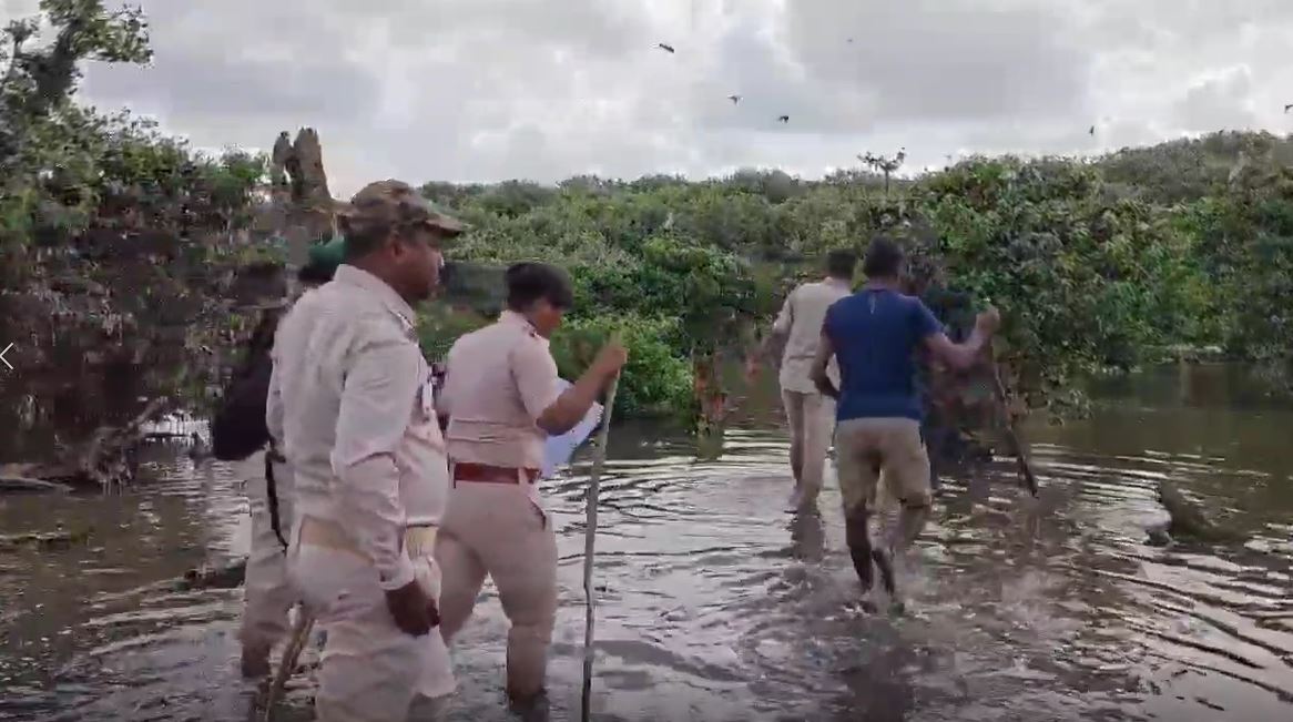 ଭିତରକନିକା ଜାତୀୟ ଉଦ୍ୟାନରେ ଚଳିତବର୍ଷ ବଢ଼ିଛନ୍ତି ଦେଶୀୟ ପକ୍ଷୀ