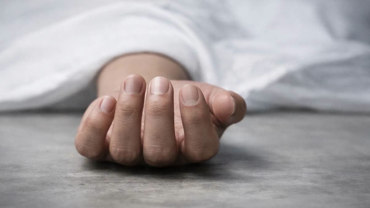 Auto driver kills his wife and then commits suicide