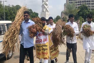 વિધાનસભા સત્રના પ્રથમ દિવસે AAPનો અછત મુદ્દે વિરોધ