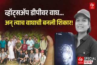 Urmila Ivne dies in tiger attack