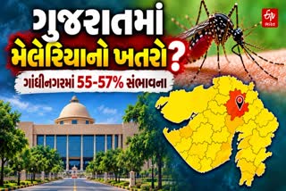 IMDની ચેતવણી