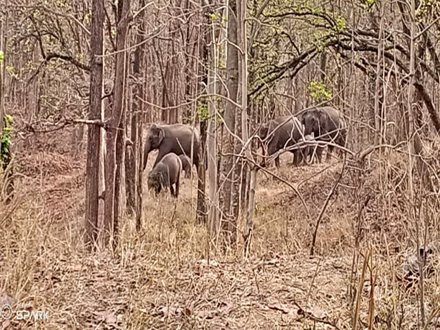 ETV Thumbnail thumbnail