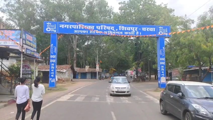 Terror of stray dogs