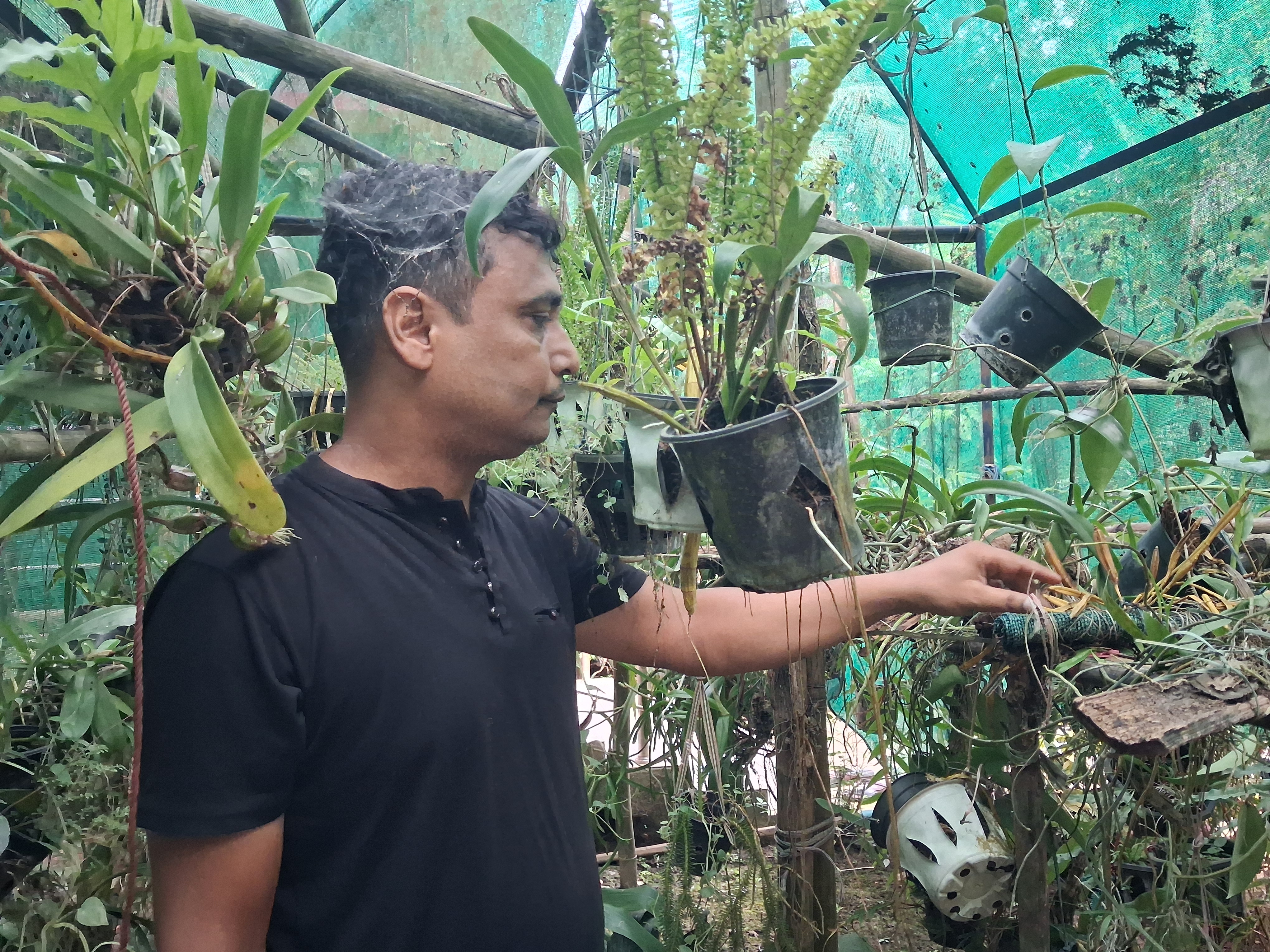 Tribute to Zubeen Garg