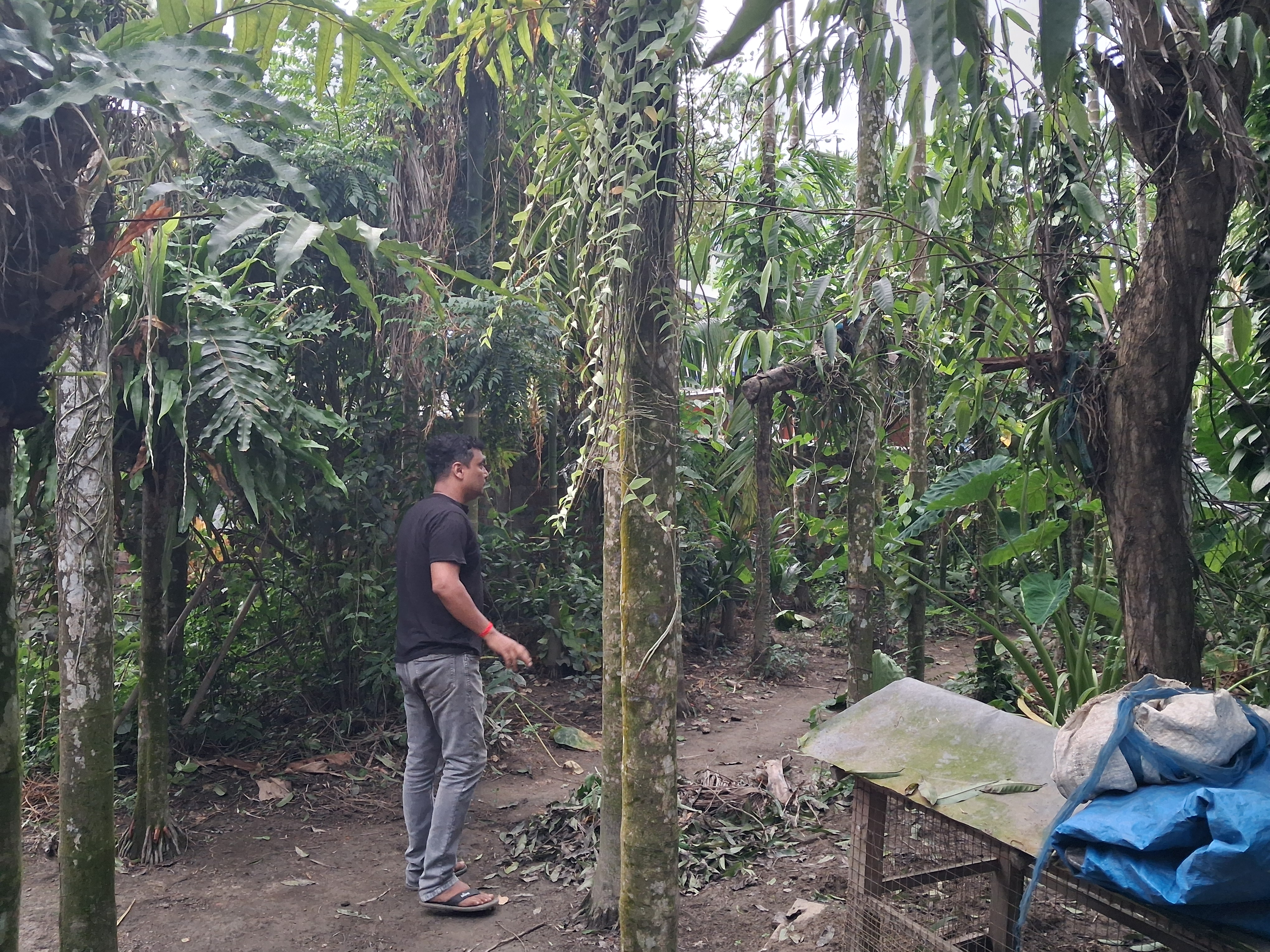 Tribute to Zubeen Garg