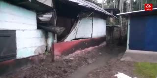 Wild elephants menace