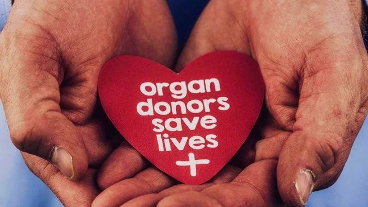 ORGAN DONATION