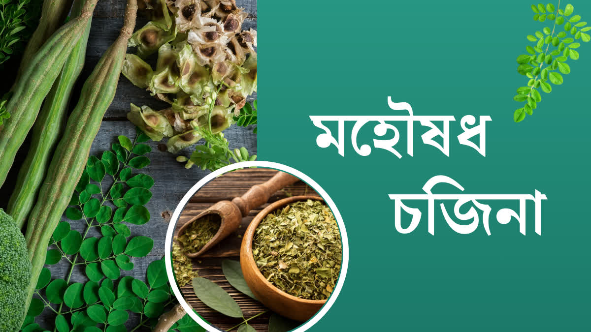 Health Benefits of Moringa Leaves