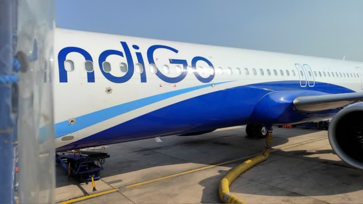 INDIGO CRISIS