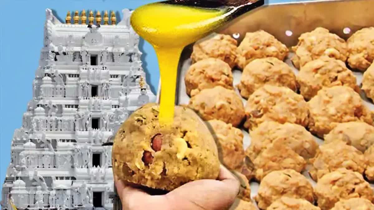 EX GM Agreed Details About Adulteration Ghee in SIT Interrogation