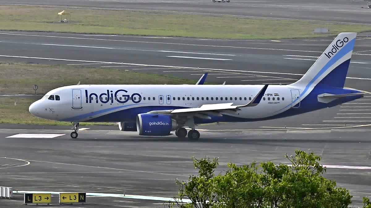 INDIGO FLIGHT
