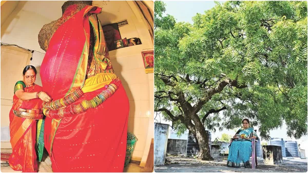 The Neem Tree That Became a Goddess: A Terrace Story of Shade and Faith