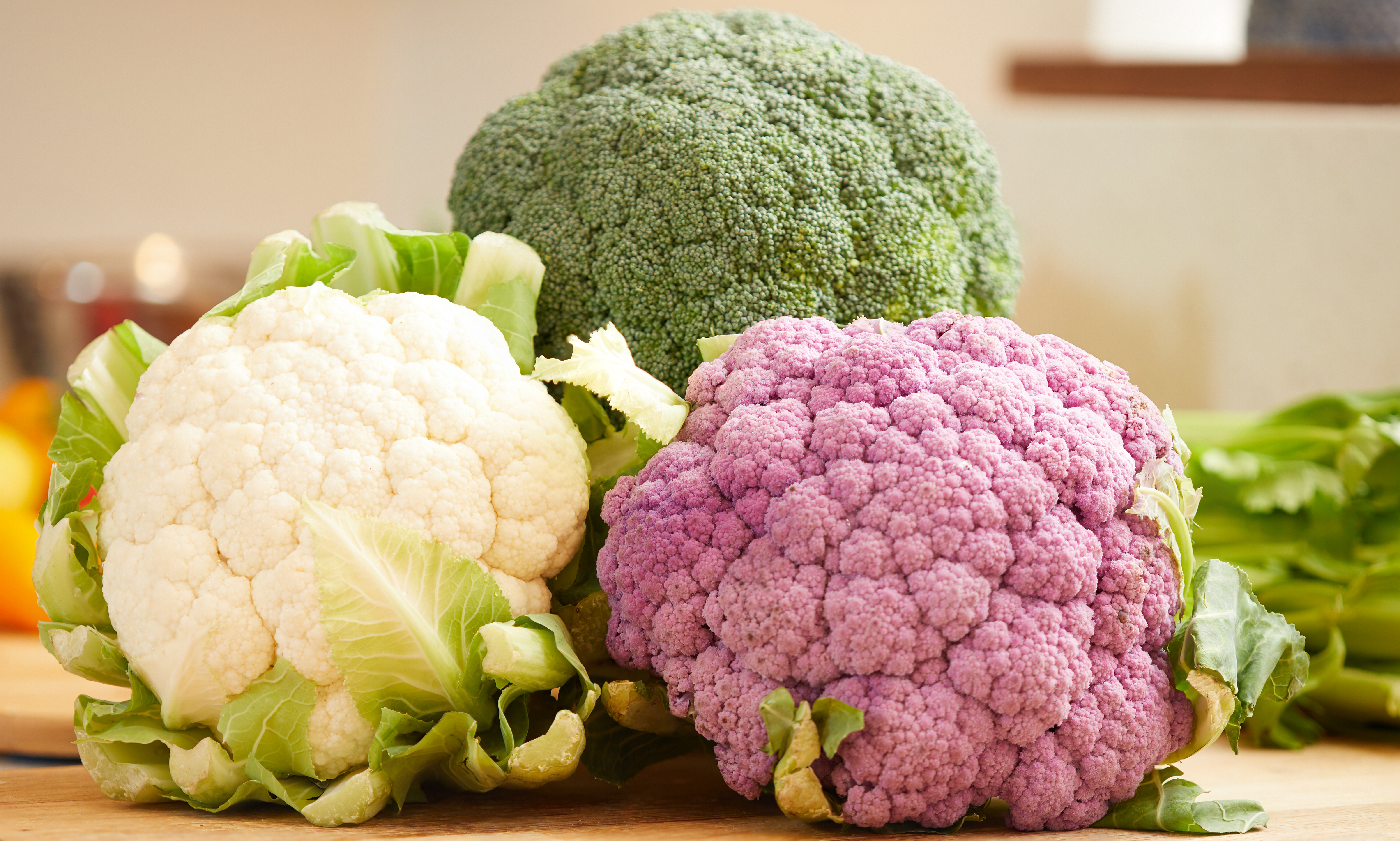 DIET AND RISK OF BREAST CANCER  HOW DIET AFFECT BREAST CANCER  FOODS TO PREVENT CANCER  FOODS TO REDUCE BREAST CANCER RISK