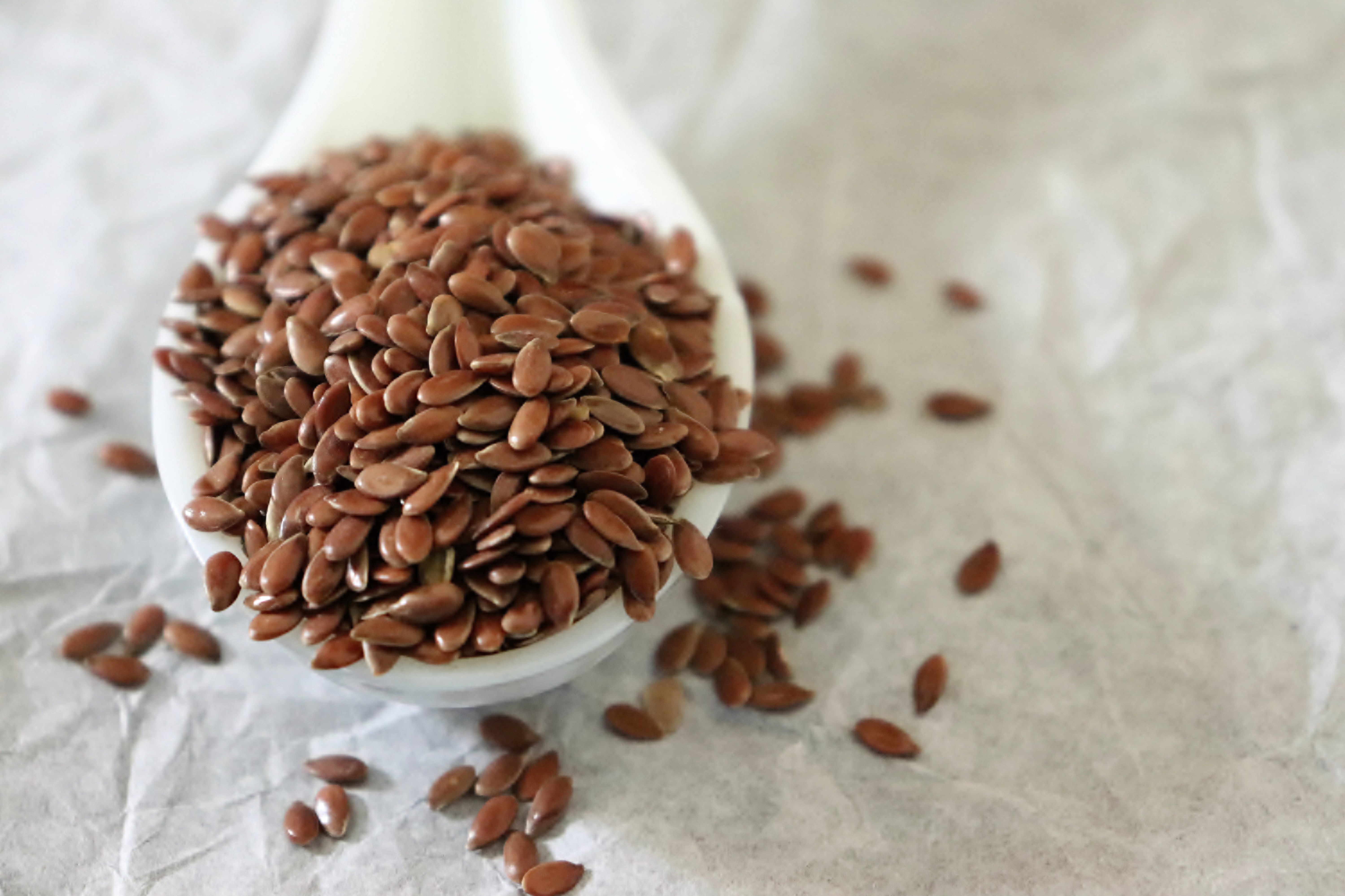 DIET AND RISK OF BREAST CANCER  HOW DIET AFFECT BREAST CANCER  FOODS TO PREVENT CANCER  FOODS TO REDUCE BREAST CANCER RISK