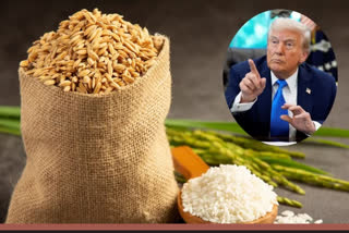 TARIFFS ON INDIAN RICE