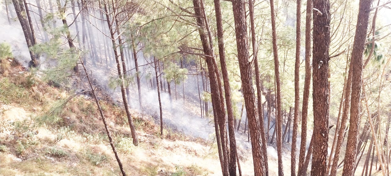 Rudraprayag forest fire