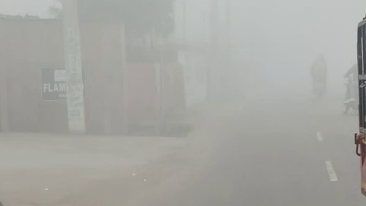 हरियाणा में घना कोहरा और शीतलहर