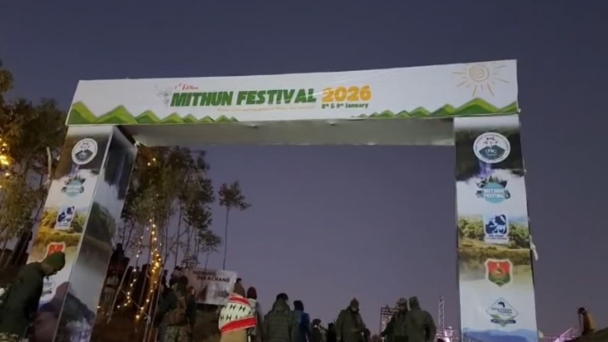 Mithun festival 2026