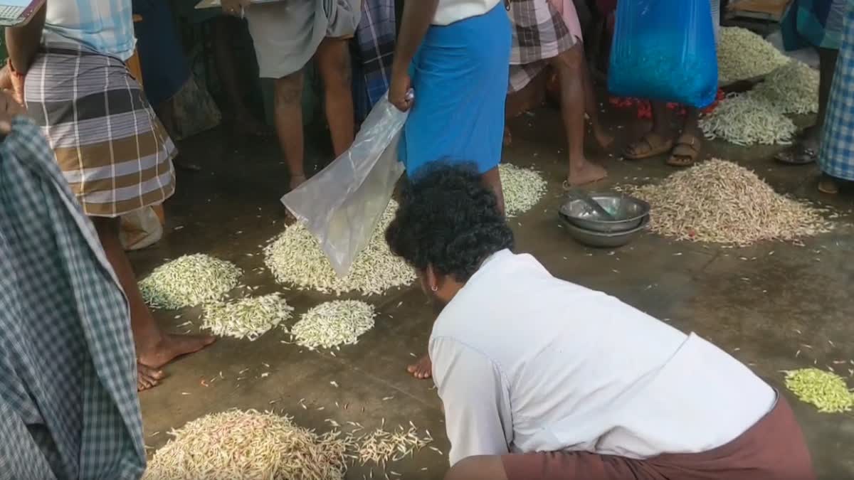 நிலக்கோட்டை மலர் சந்தை