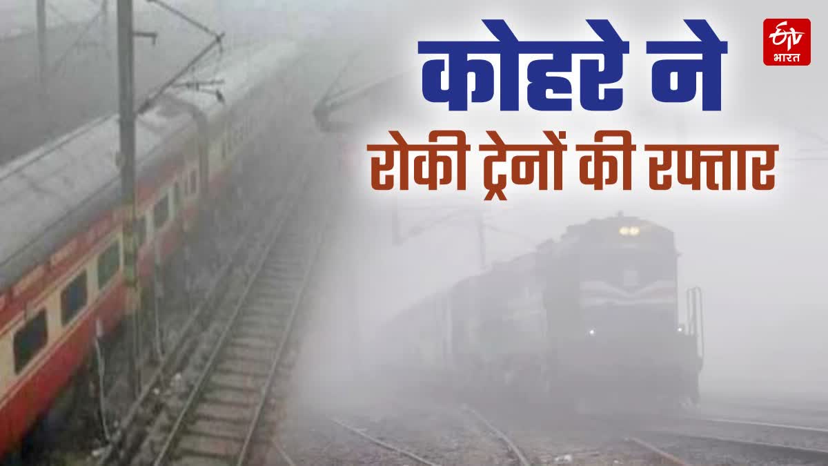 कोहरे ने बढ़ायी रेल यात्रियों की मुसीबत,घंटों देरी से चल रही ट्रेनें