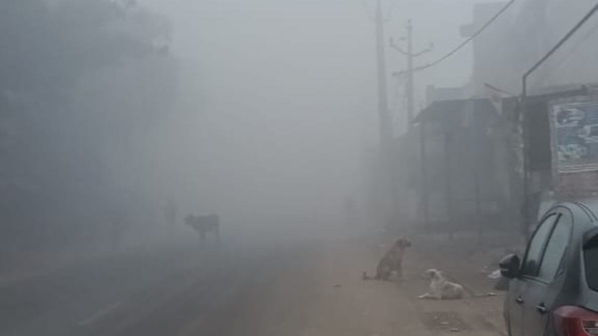 मरुधरा में शीतलहर