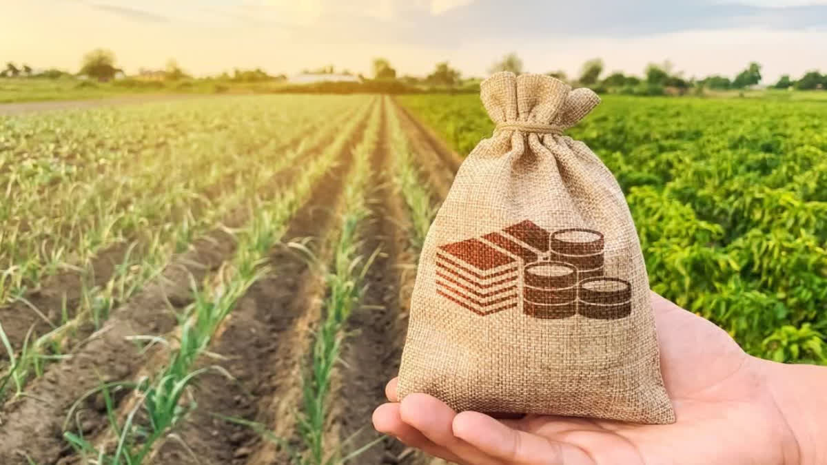 PM KISAN SAMMAN AMOUNT