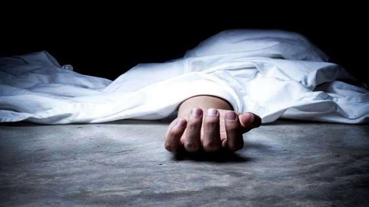 Sadhu assault case kullu