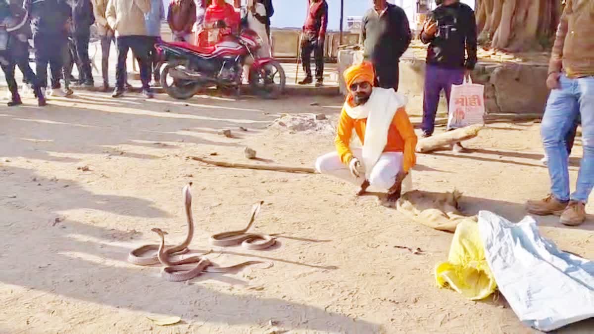 Rohtas Snake Bite