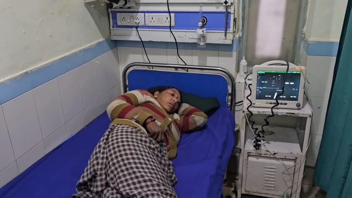 RAMNAGAR ELEPHANT ATTACK