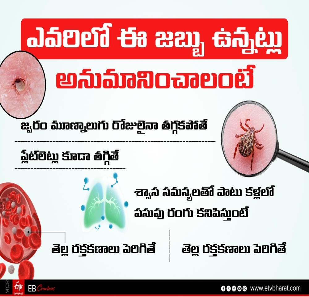 WHAT IS SCRUB TYPHUS DISEASE