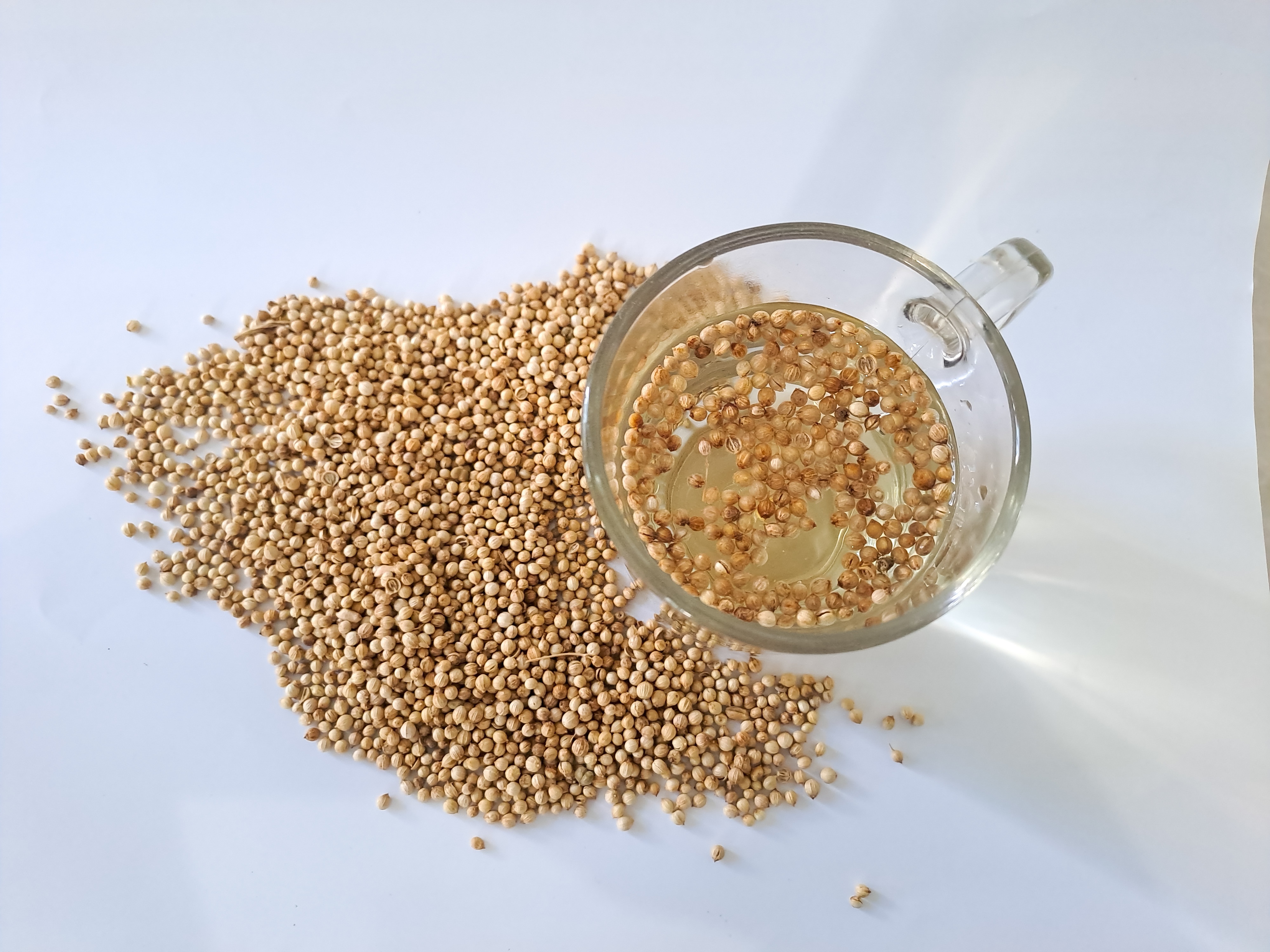 Try this easy method to grow coriander at home. best month to grow coriander