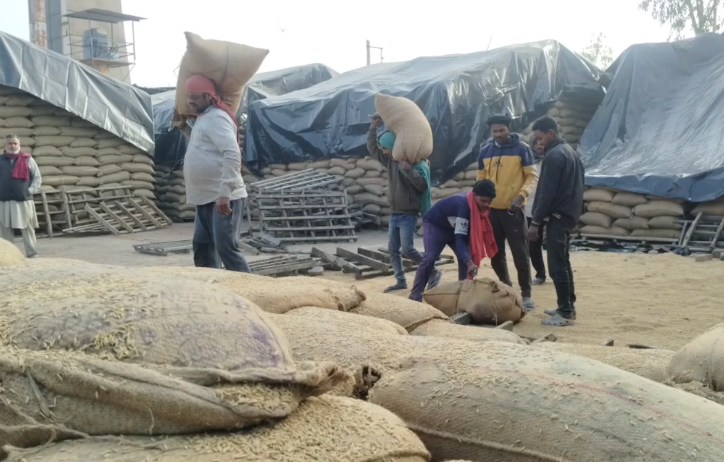 FRK SHORTAGE IN PUNJAB