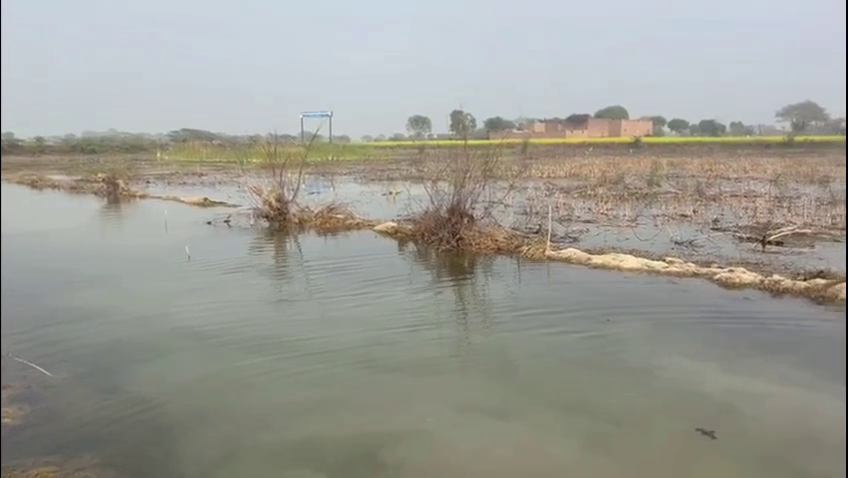 Water Problem in Haryana