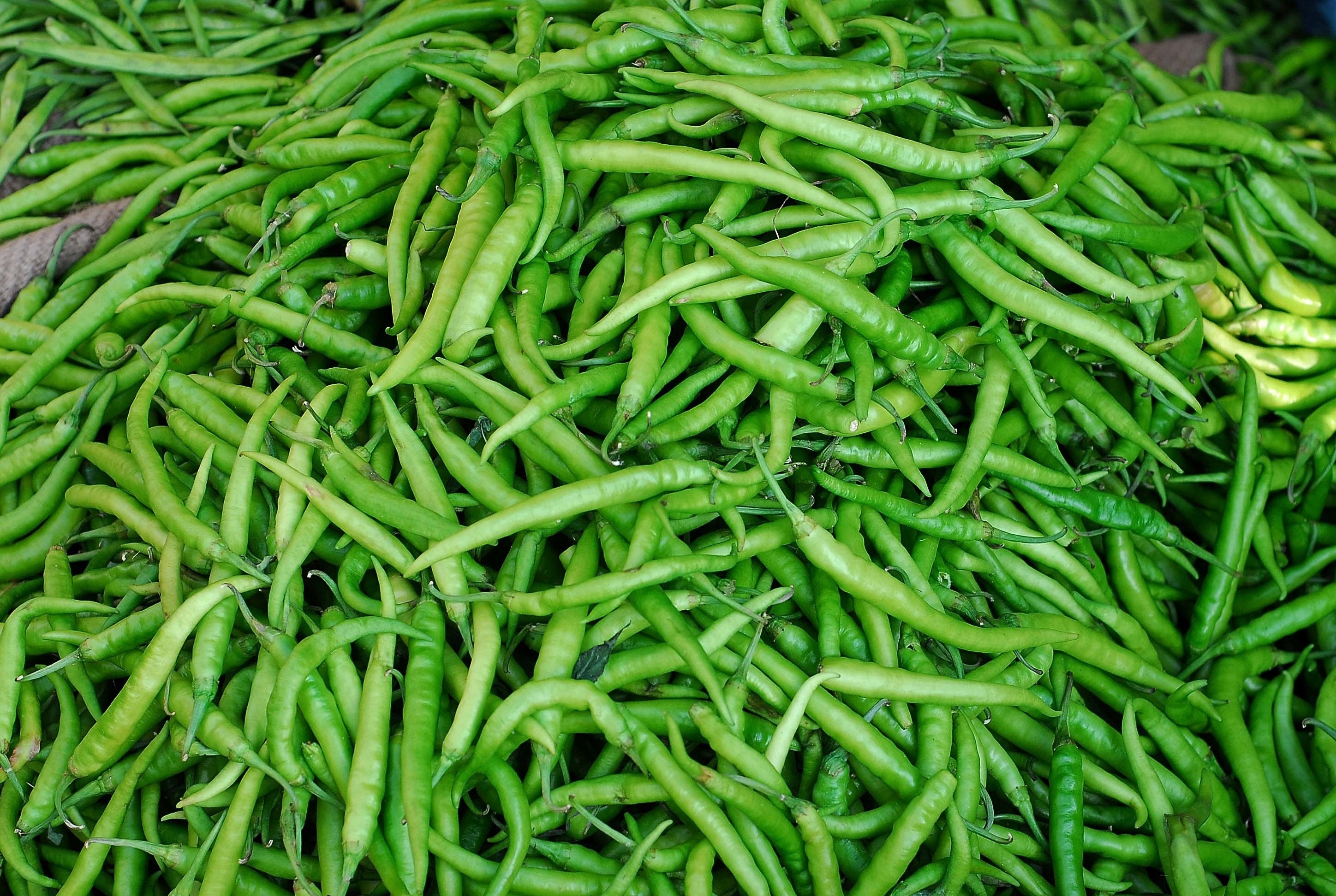 Dondakaya Tomato Pachadi