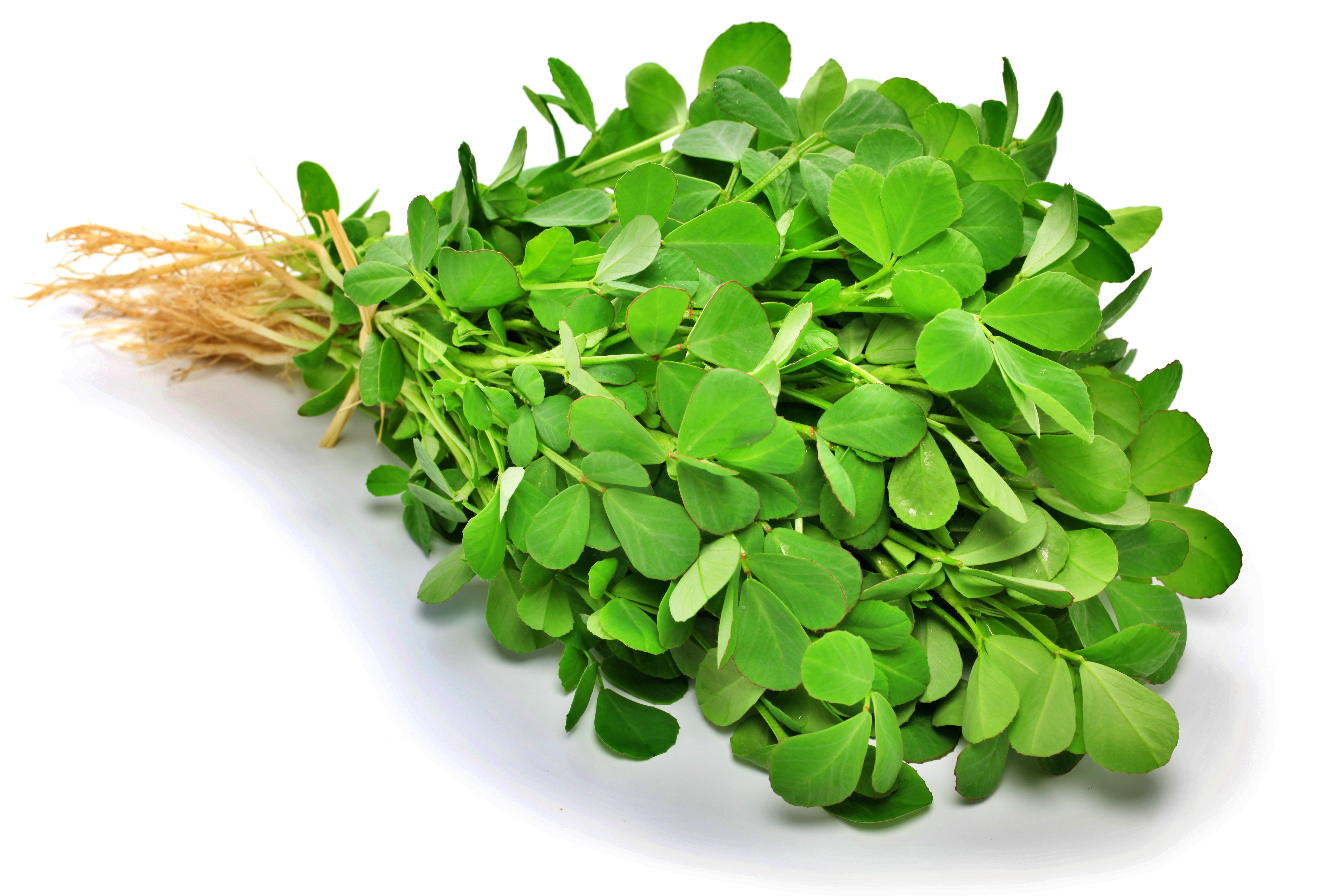 LEAFY VEGETABLES BENEFITS  LEAFY VEGETABLES FOR DIABETES  VEGETABLES FOR IRON DEFICIENCY